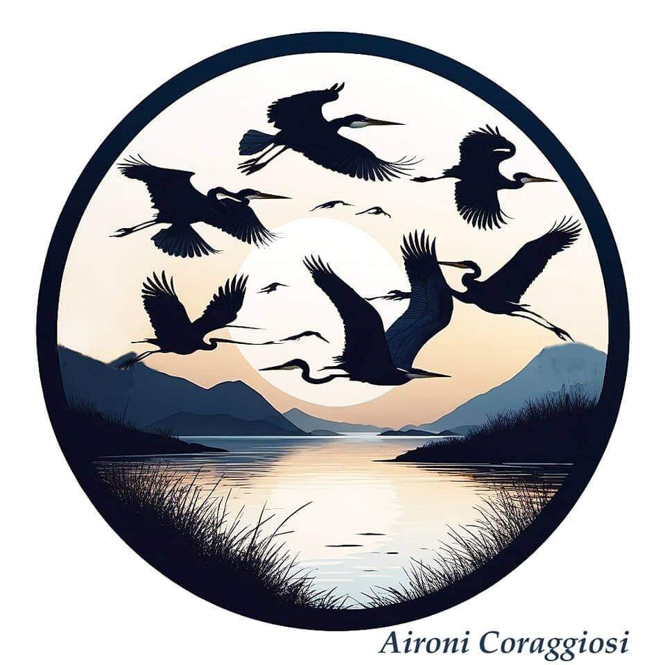 Blog di aironicoraggiosi